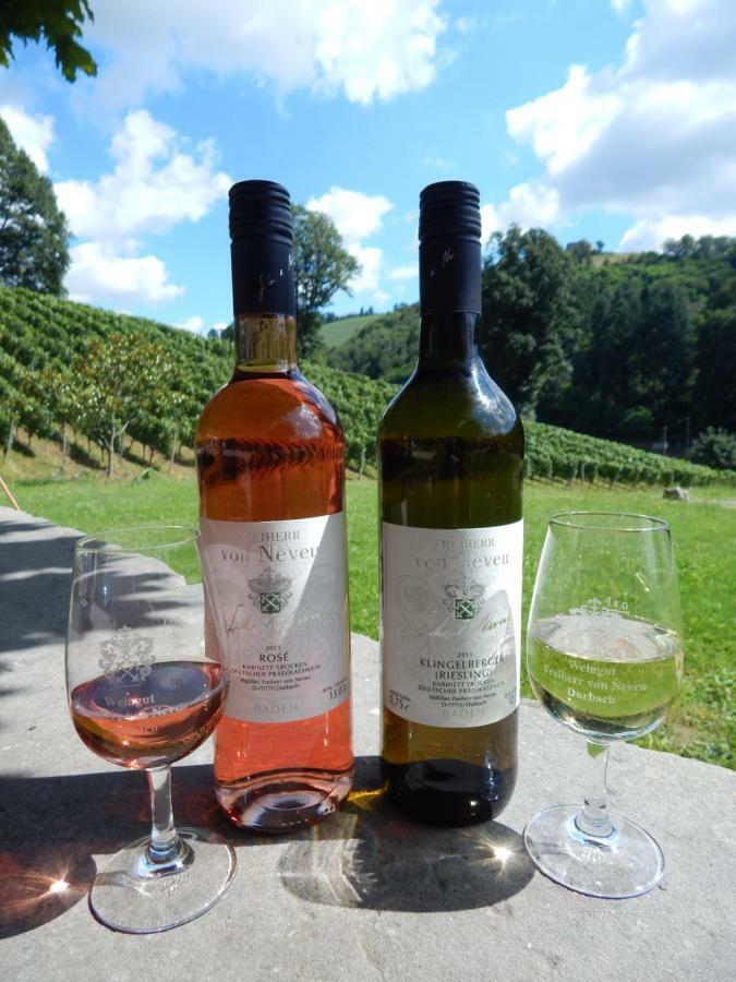 Wein Lodge Durbach - Schlossblick 외부 사진