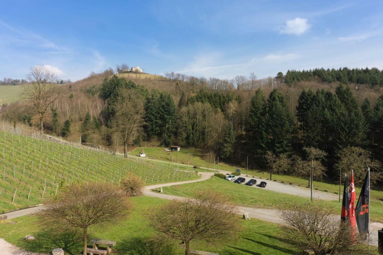 Wein Lodge Durbach - Schlossblick 외부 사진
