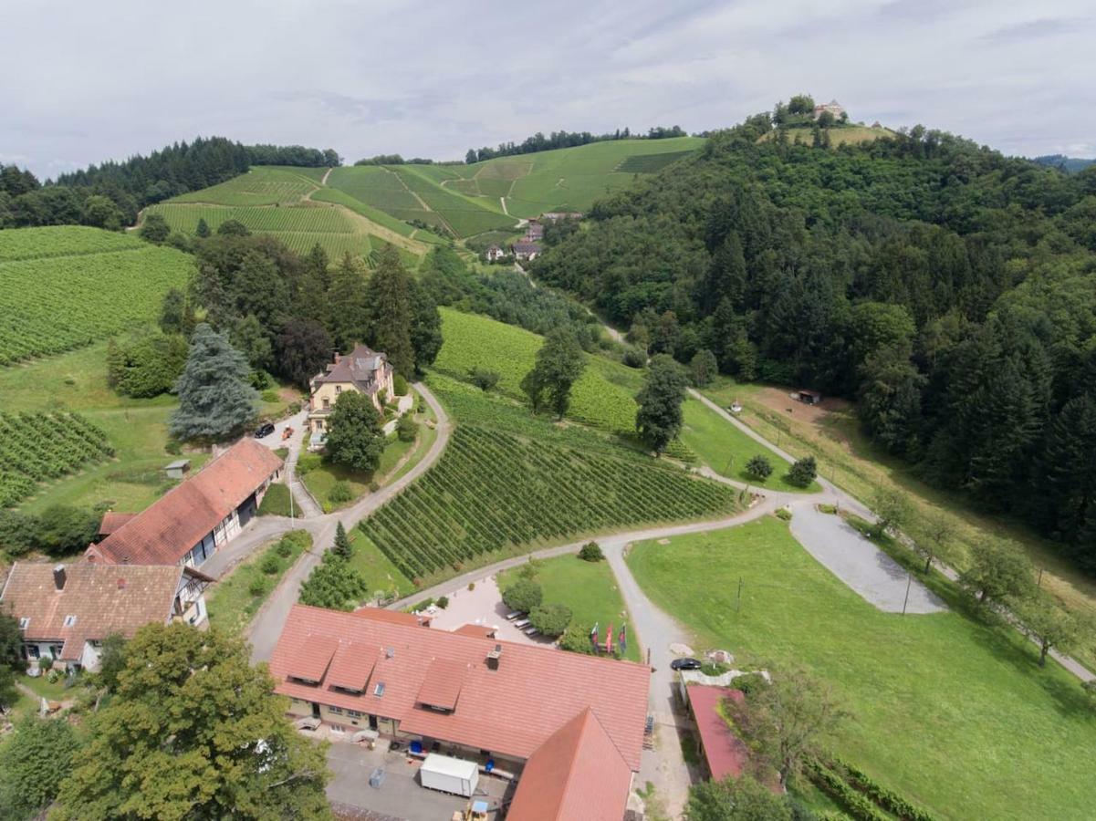 Wein Lodge Durbach - Schlossblick 외부 사진